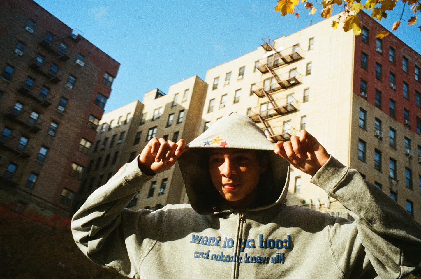 NYC ZIP COLLECTION